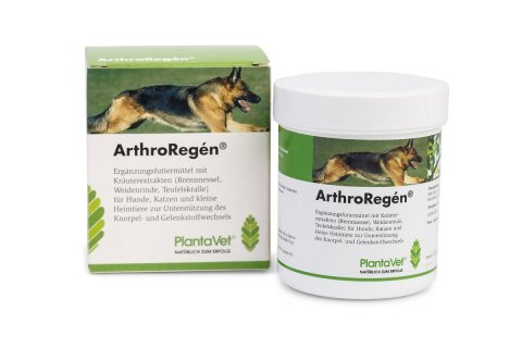 Saluvet ArthroReg&eacute;n&reg; Erg&auml;nzungsfuttermittel f&uuml;r Hunde, Katzen und kleine Heimtiere 300 Tabletten