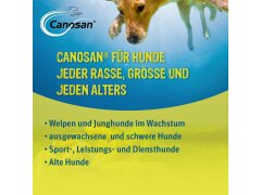 Boehringer Canosan&reg; Pellets f&uuml;r Hunde, 650 g Konzentrat mit 4% Gonex&reg; begrenztes MHD!!!