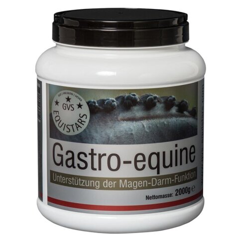 GVS Equistars Gastro-equine Erg&auml;nzungsfuttermittel f&uuml;r Pferde begrenztes MHD!!!
