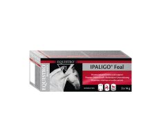 EQUISTRO Ipaligo foal 3 x 14g Erg&auml;nzungsfuttermittel...
